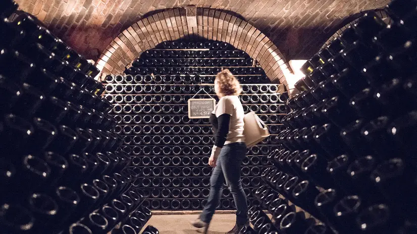 Molte le cantine che aprono le porte ai visitatori