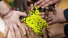 L’8 marzo appuntamento nella sala consiliare