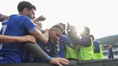 I compagni festeggiano Marras dopo il gol - Foto New Reporter Nicoli © www.giornaledibrescia.it