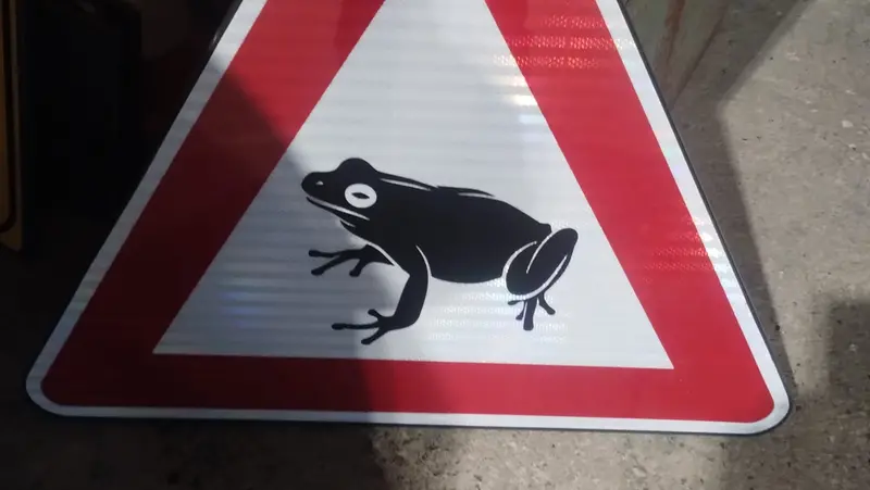 I rospi rischiano di essere schiacciati dalle auto