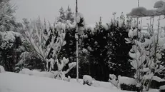 La stazione meteorologica di Mompiano durante la nevicata del 10 marzo 2010 - © www.giornaledibrescia.it