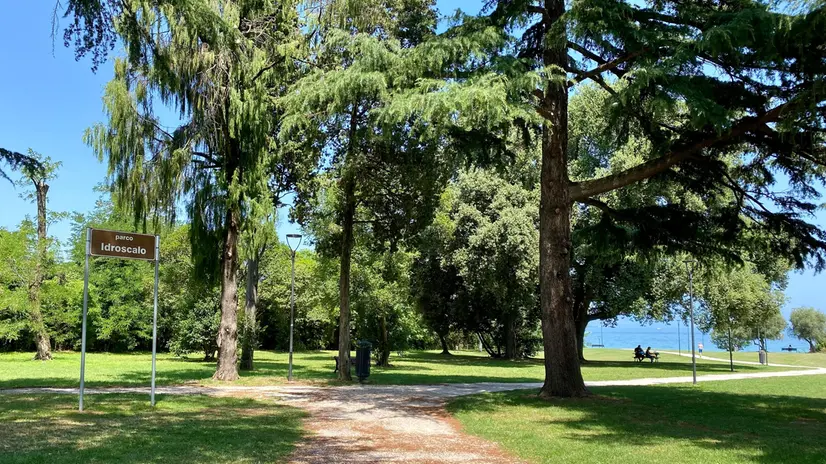 Desenzano avvia il censimento degli alberi © www.giornaledibrescia.it