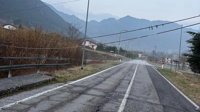 Il palo caduto lungo la Sp50 © www.giornaledibrescia.it