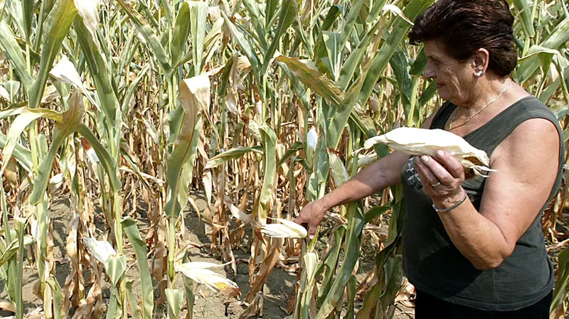 Preoccupazione per la stagione agricola
