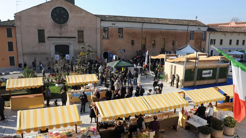 La Fiera agricola nel cuore di Ghedi