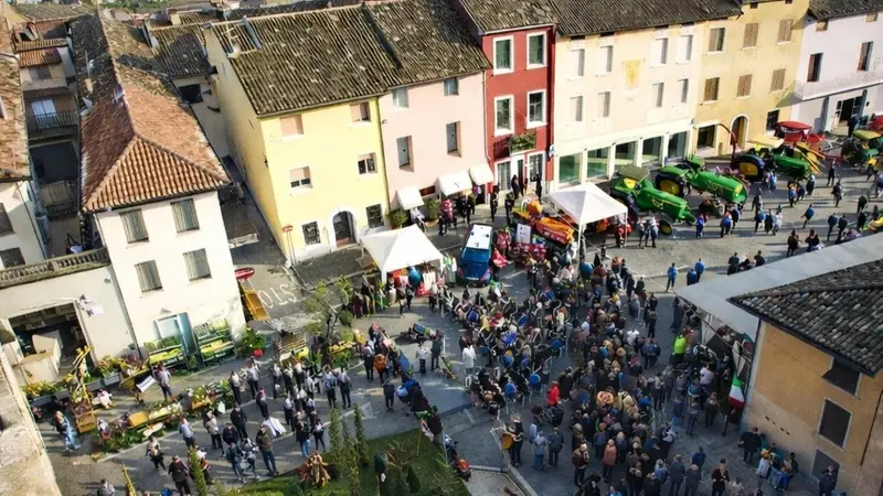 Alla Fiera agricola sono attesi tantissimi visitatori