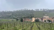 Il quartiere Chiusure di Brescia