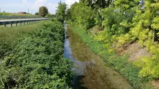 Una roggia della provincia di Brescia - © www.giornaledibrescia.it