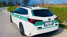 Intervenuta la Polizia locale