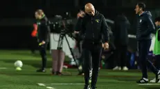 Eugenio Corini, tecnico del Brescia - Foto New Reporter Comincini © www.giornaledibrescia.it