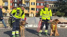 I cani Bruss e Kira - © www.giornaledibrescia.it