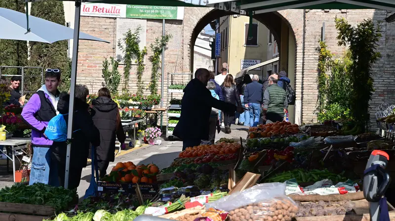 Alcune delle bancarelle della tradizione agricola bassaiola - Foto Gabriele Strada/Neg © www.giornaledibrescia.it