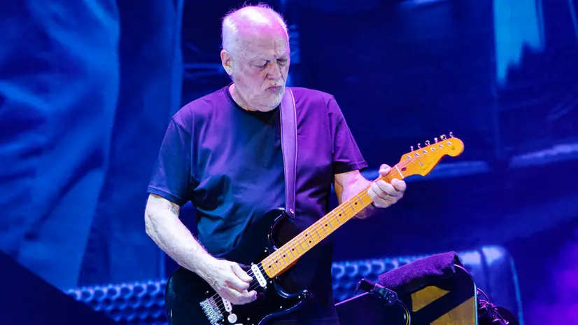 David Gilmour con una delle sue celebri Fender Stratocaster - Jill Furmanovsky