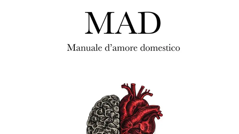 La copertina del romanzo