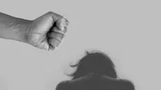 Il corso punta i riflettori sull'importanza di un approccio multidisciplinare alla violenza