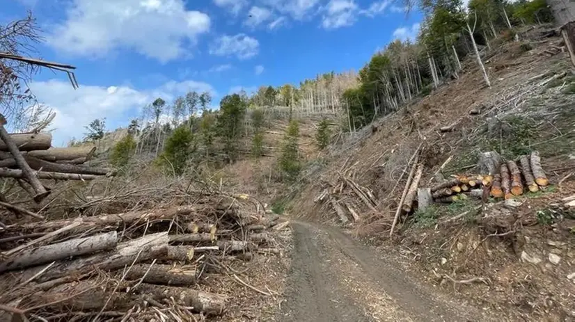 Il consorzio si allarga ed ha bisogno di personale - © www.giornaledibrescia.it