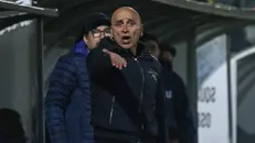 Eugenio Corini, tecnico del Brescia - Foto New Reporter Nicoli © www.giornaledibrescia.it