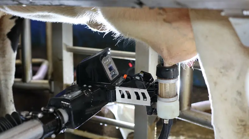 Sempre più stalle adottano robot di mungitura