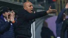 Eugenio Corini - © www.giornaledibrescia.it