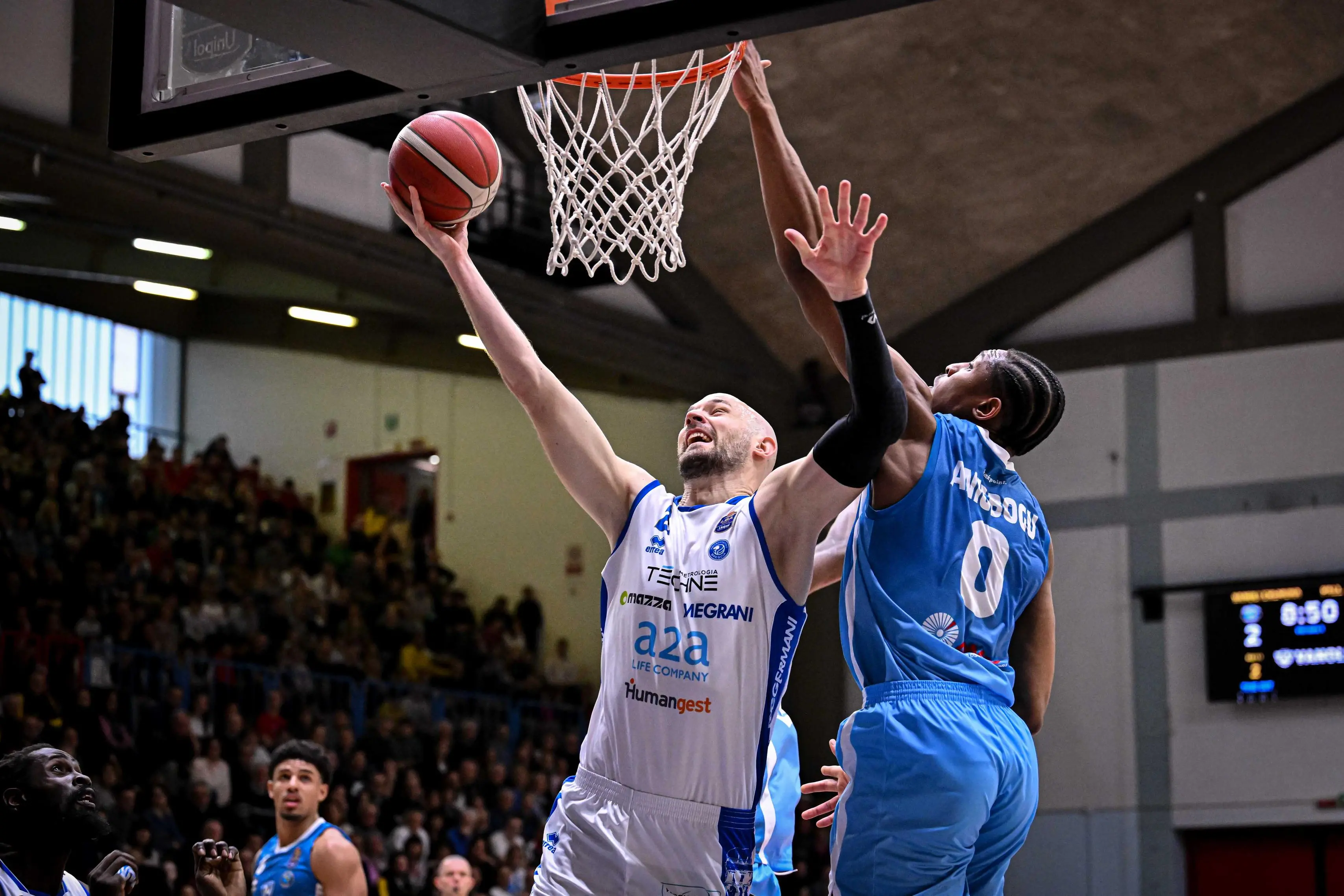 Gli scatti di Vanoli Cremona-Germani Pallacanestro Brescia