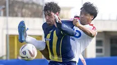 Uno scatto di Ciliverghe-Carpenedolo - Foto New Reporter Papetti © www.giornaledibrescia.it