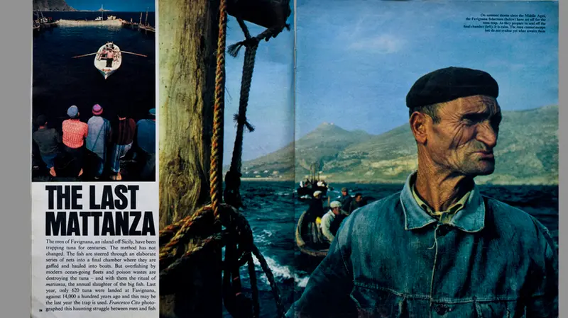 Francesco Cito, The last mattanza, servizio su The Sunday Times, 1980