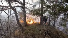 Un incendio boschivo