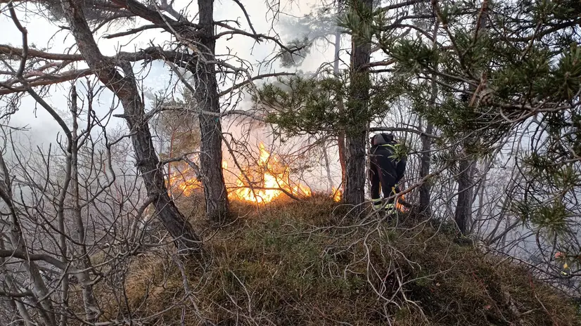 Un incendio boschivo