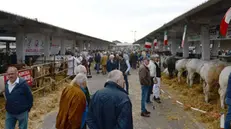 Uno scatto da una vecchia edizione di Lombardia Carne - © www.giornaledibrescia.it