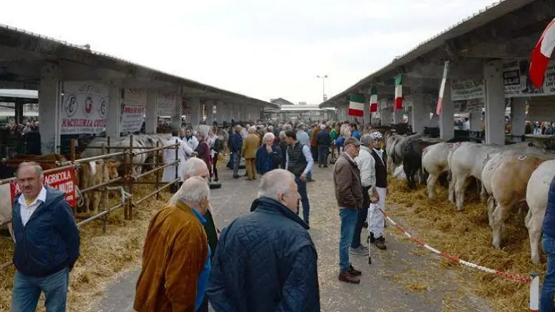 Uno scatto da una vecchia edizione di Lombardia Carne - © www.giornaledibrescia.it