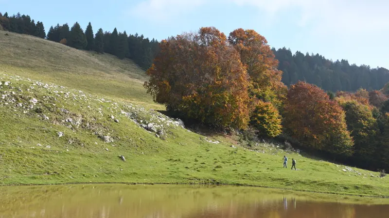 Quando la natura infonde orizzonte e pace a chi sa viverla e... rispettarla