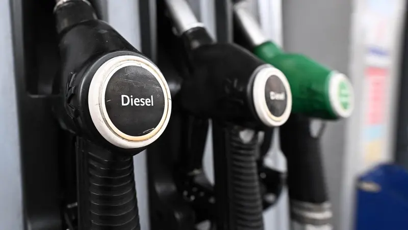 Pompe in un distributore - Foto Ansa/Luca Zennaro © www.giornaledibrescia.it