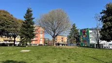 Il Villaggio Violino