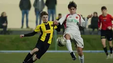 Coppa Brescia, Giovanissimi Under 14: gli scatti di Gavardo-Flero