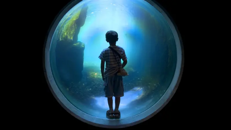 Un bambino incantato dall'acqua