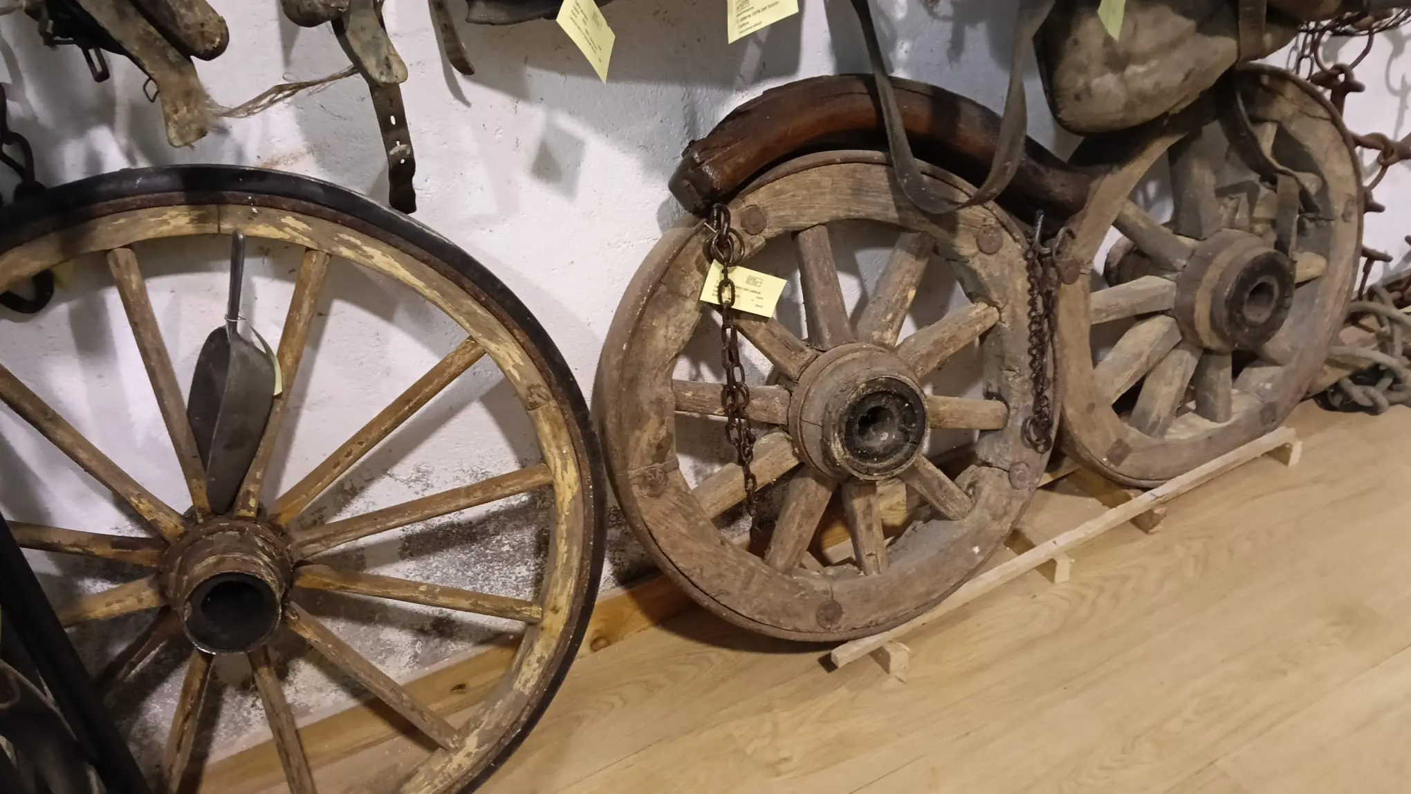 Giornate Fai a Caino