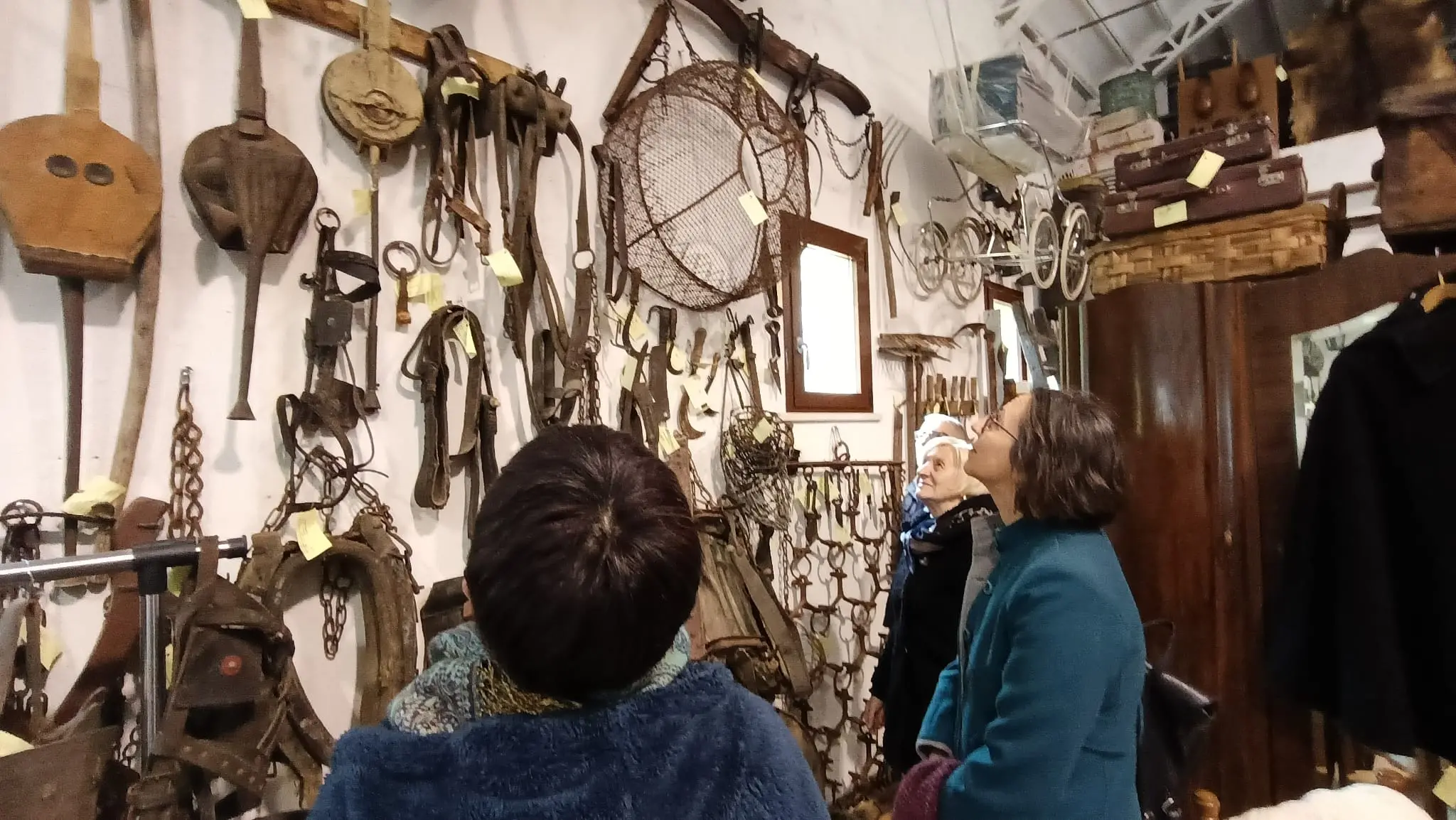 Giornate Fai a Caino