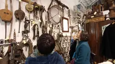 Giornate Fai a Caino