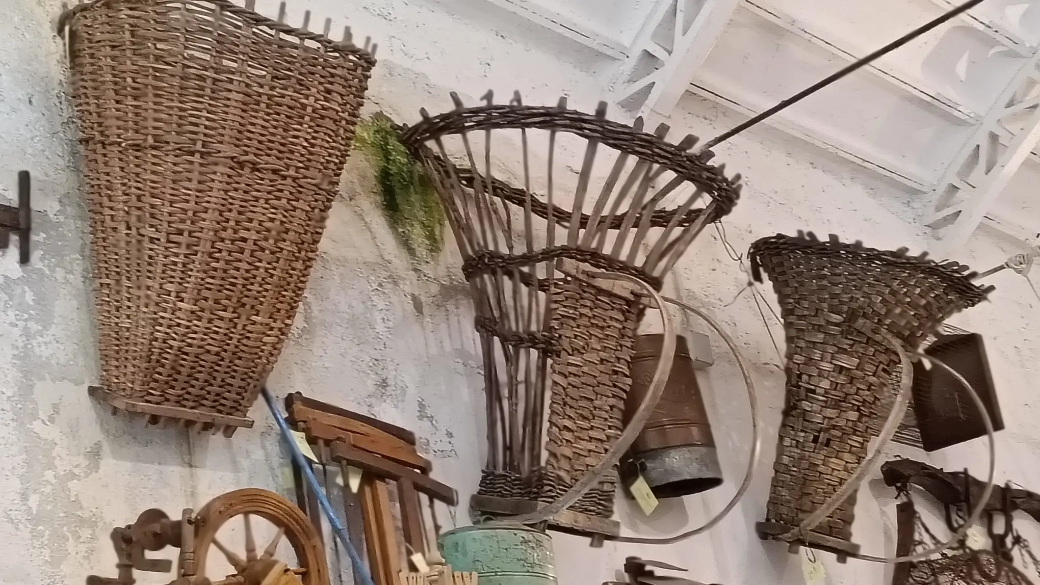 Giornate Fai a Caino