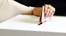 Alle urne per il referendum costituzionale - Foto Ansa © www.giornaledibrescia.it