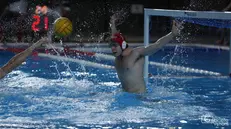 Borsarini - Foto Vanoni