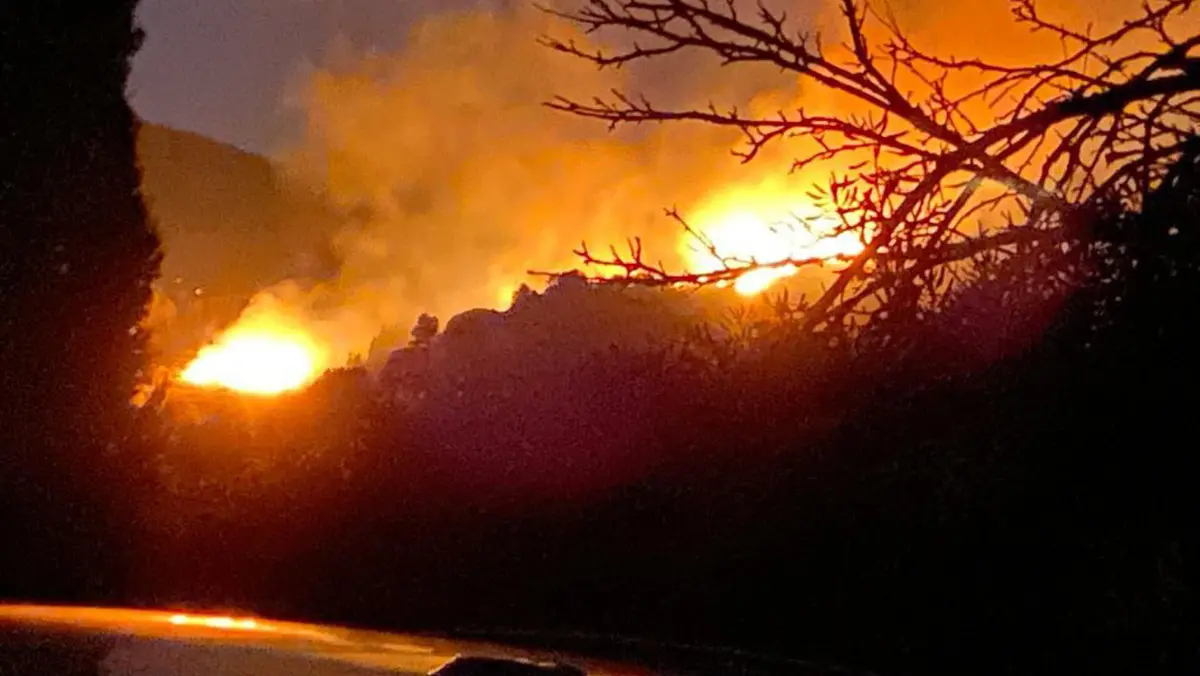Un incendio boschivo