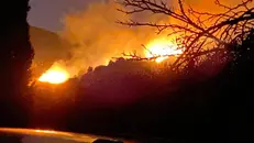 Un incendio boschivo