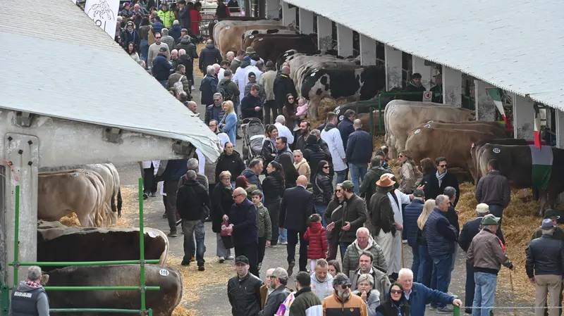 Visitatori si aggirano tra gli stand di Lombardia Carne - Foto Gabriele Strada/Neg © www.giornaledibrescia.it
