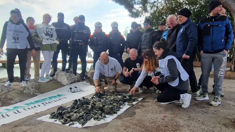 Operazione dei sub del Wwf per rimuovere i piattelli adagiati sul fondo del lago