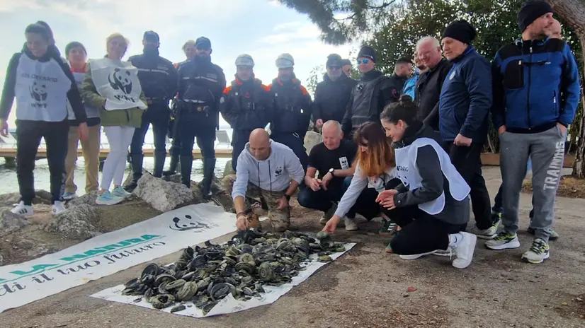 Operazione dei sub del Wwf per rimuovere i piattelli adagiati sul fondo del lago