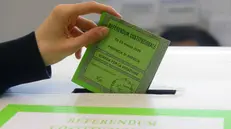 Una scheda per la votazione - Foto Giovanni Benini/Neg © www.giornaledibrescia.it