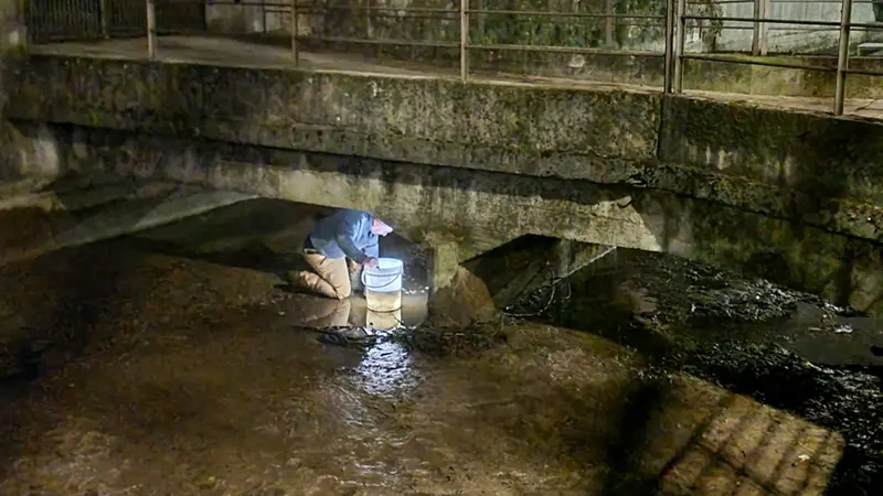 Il salvataggio dei pesci nei canali - © www.giornaledibrescia.it