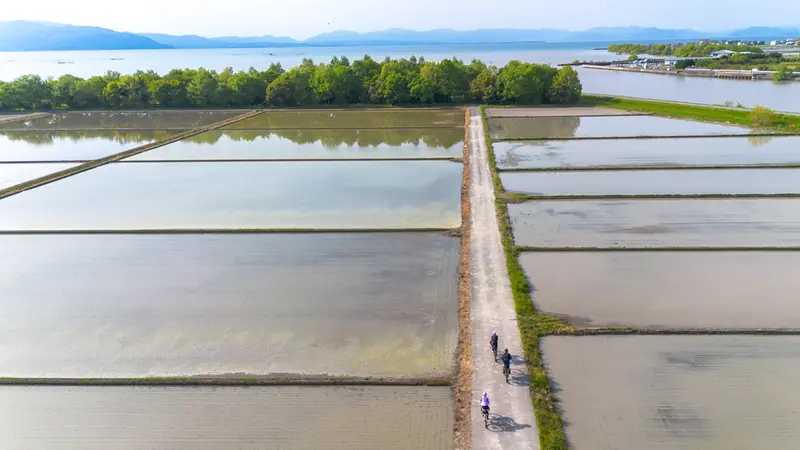 Attraverso le risaie © Foto Paolo Penni Martelli