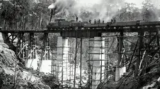 Una ferrovia in costruzione - Foto Museums Victoria